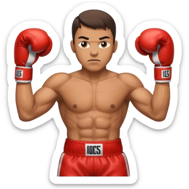 Boxing sticker