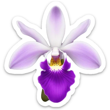 orchid sticker