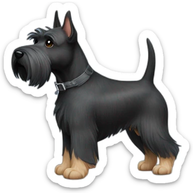 scottish-terrier-dog-walking sticker