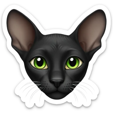 black sphinx cat with green eyes and a white spot on the mouth  sticker