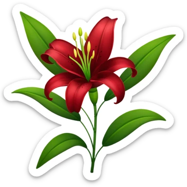 A lily flower in a dark cherry red colour with a stem sticker