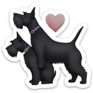 Two black Scottish terrier kissing one male one female sticker