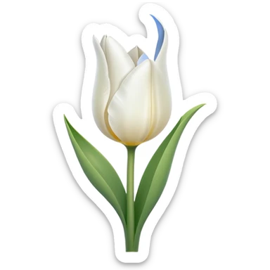 white tulip, minimal, no text sticker