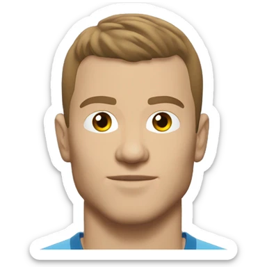 Edin Dzeko sticker