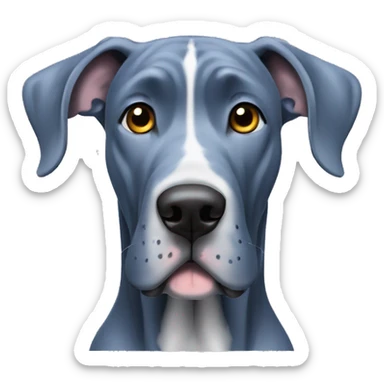 Old blue great dane dog with uncut ears sticker