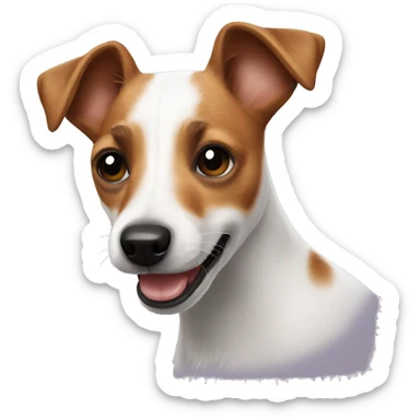 Jack russell terrier  sticker