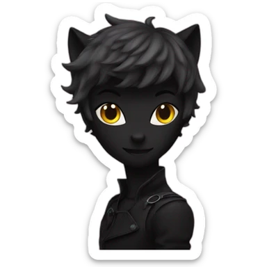 Chat noir miraculous sticker
