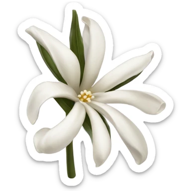 Dark vanilla bean with white flower sticker
