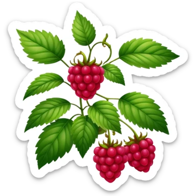 Raspberry full plant  sticker