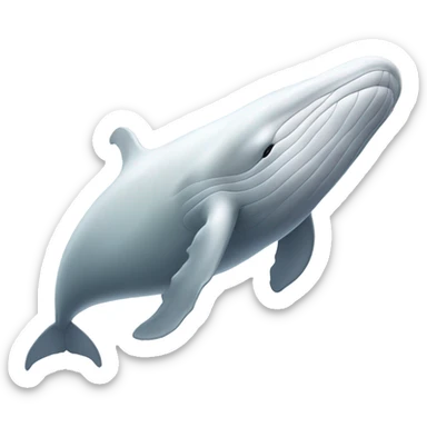 white whale , underside sticker
