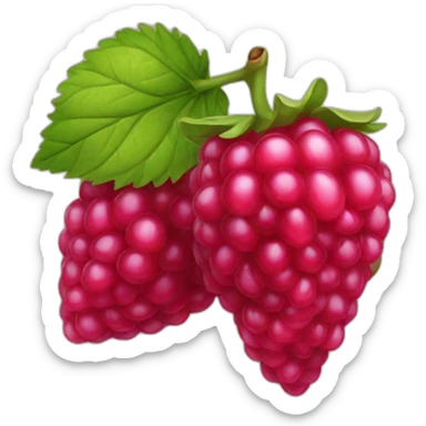 framboise fruit sticker