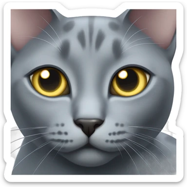 Russian blue cat with star eyes  sticker