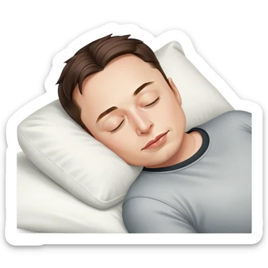 :sleeping-elon-musk: sticker