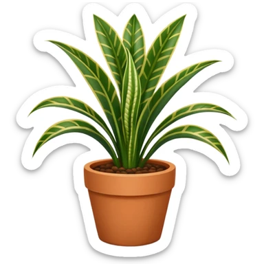 Snake plant potted sticker