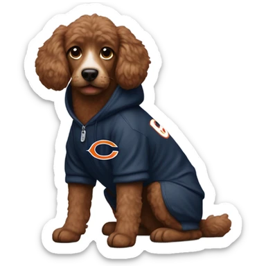 Brown poddle dog wearing a Chicago bears hoodie sticker