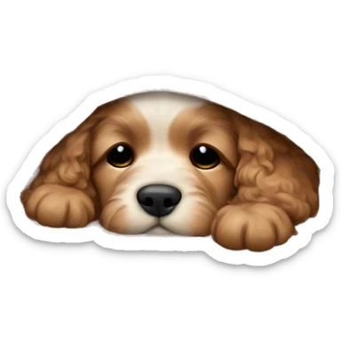 cute cockapoo puppy sleep in blanket sticker