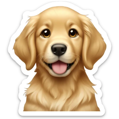 Golden retriever puppy  sticker