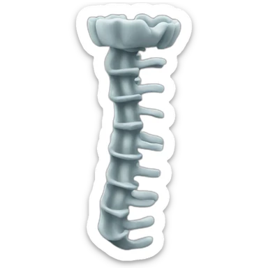 Coluna vertebral sticker