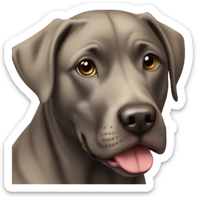 black lab weimerainer pit bull mix sticker