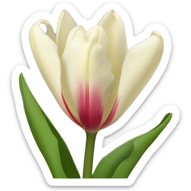tulipan africano flower sticker