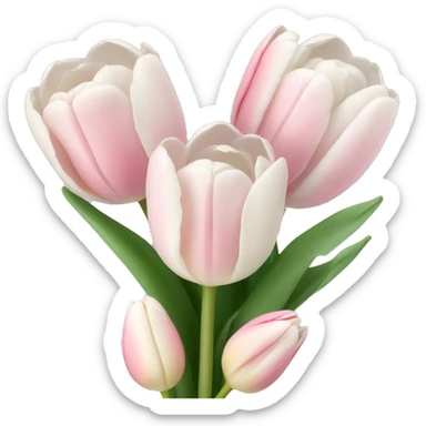 Bouquet of light pink and white tulips  sticker