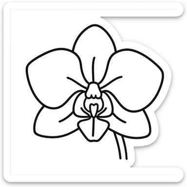hand-drawn outline style orchid flower icon sticker