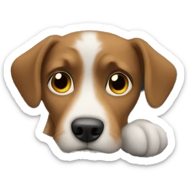 dog in the car sticker