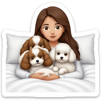 Olive skin girl with long brown hair in bed with 3 white bichon frise's sticker
