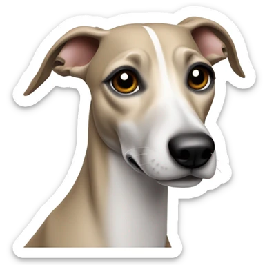 Whippet dog with ear slicked back sticker