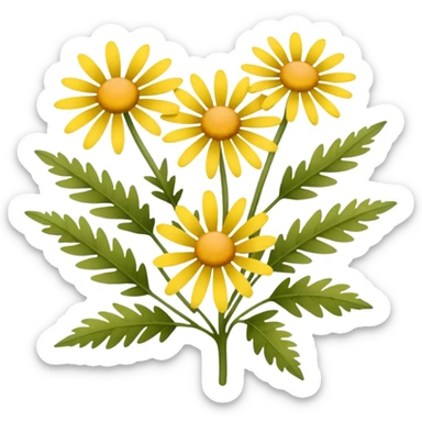 Texas ragwort  sticker
