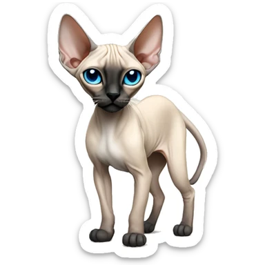 Siamese Sphynx  cat with blue eyes, full thin body stand, black nose ears and tail sticker
