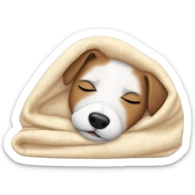 jack russel terrier sleeping cozy in blanket  sticker