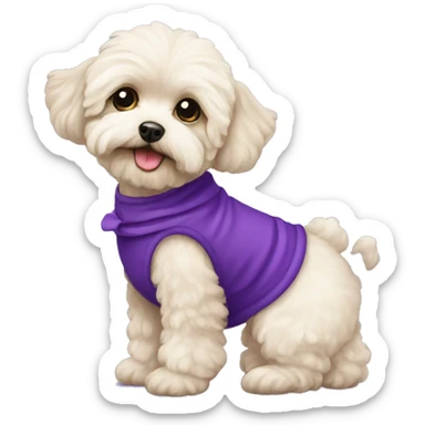 Maltipoo with purple dress sticker