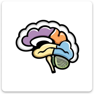 Hand-drawn anatomical brain cross-section showing different colored regions: purple cerebrum, orange cerebellum, blue brain stem, yellow thalamus, green hypothalamus. Detailed medical illustration with anatomical features clearly defined. sticker