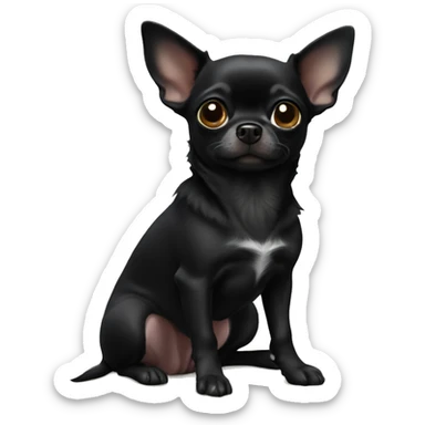 All black chihuahua sticker