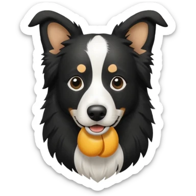Bordercollie bianco e nero sticker