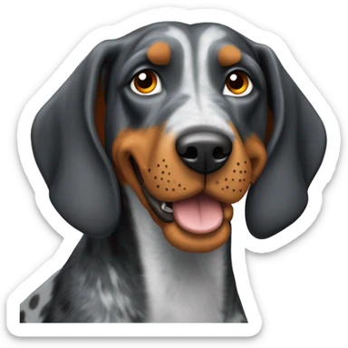bluetick coonhound wearing university Tennessee orange sticker