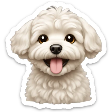 Maltipoo dog smiling sticker
