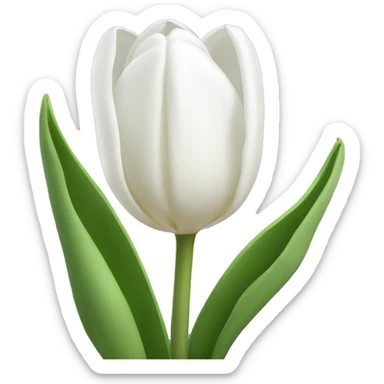 white tulips sticker