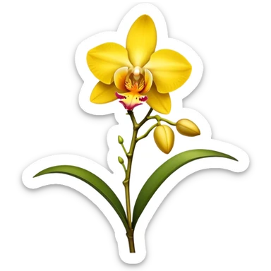 single yellow Dendrobium Orchid flower, stem sticker