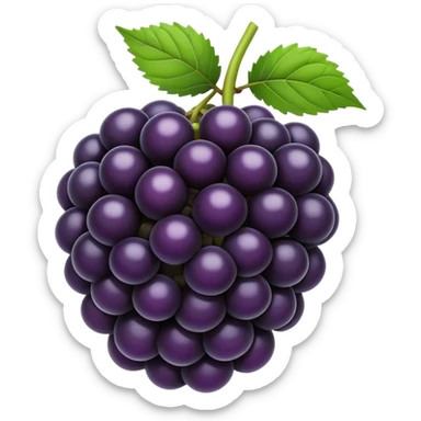 blackberry  sticker
