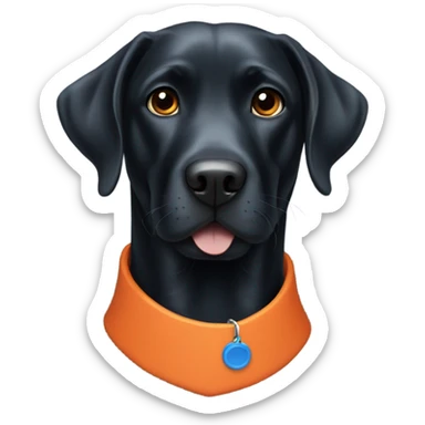 Black Labrador wearing orange and blue collar  sticker