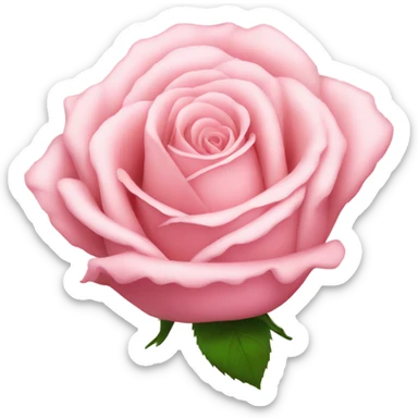 light pink rose sticker