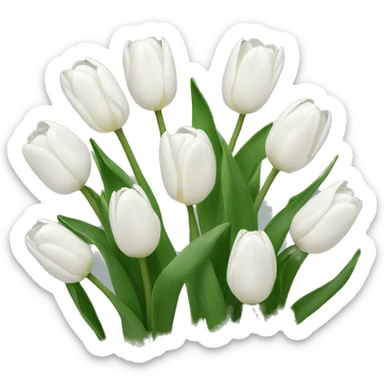 white tulips  sticker