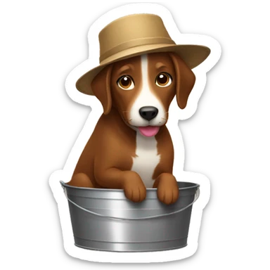 Brown dog wearing a bucket sticker