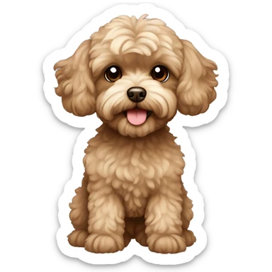 brown maltipoo  sticker