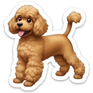 Caniche marron saltando sticker