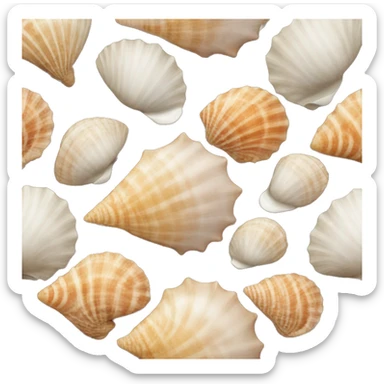 Seashells  sticker