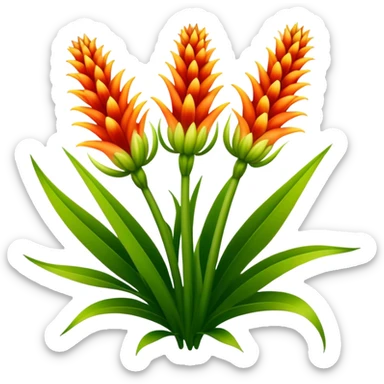 big bouquet Torch Lily flower, luxuriant, stem, leaf sticker