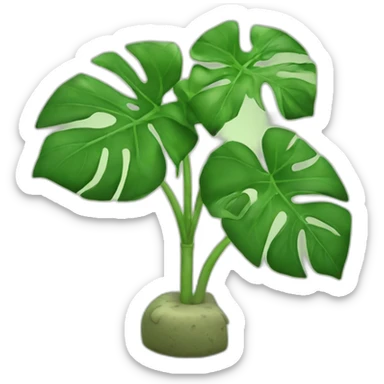 Cheese plant sticker